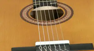 گیتار کلاسیک پارسی مدل M2